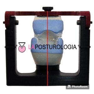Strain laterale