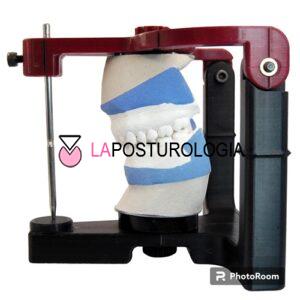 latero-flessione-side-bending