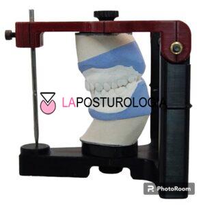 Strain laterale