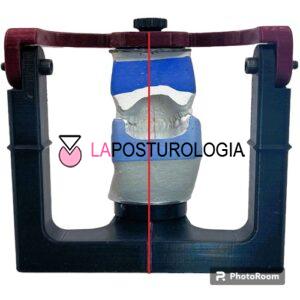 Strain laterale