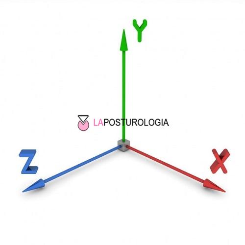 Rappresentazione degli assi cartesiani tridimensionali X, Y e Z con logo La Posturologia per lo studio della bio-meccanica cranio-occlusale.