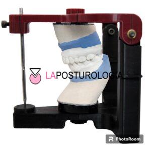 riabilitazione ortopedico disfunzionale
